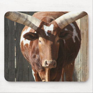 Ankole-Watusi Steer met enorme horens Mousepad Muismat