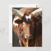 Ankole-Watusi Steer With Huge Horns Briefkaart (Voorkant / Achterkant)