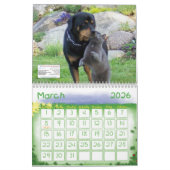 ANML-RESQ KALENDER (Mar 2026)