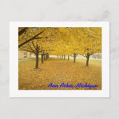 Ann Arbor in Herfst Briefkaart (Voorkant)