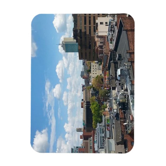ANN ARBOR MICHIGAN Magneet (Verticaal)