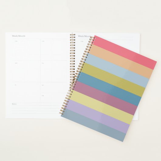 Ann Arbor Pastel Chalk Stripes Planner (Display)