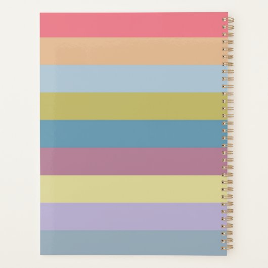 Ann Arbor Pastel Chalk Stripes Planner (Achterkant)