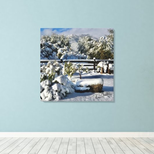 Ann Charles Snowy Day in Arizona Canvas Afdruk (Insitu (Houten vloer))