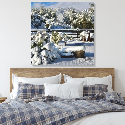 Ann Charles Snowy Day in Arizona Canvas Afdruk (Insitu (Slaapkamer))