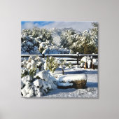 Ann Charles Snowy Day in Arizona Canvas Afdruk (Voorkant)