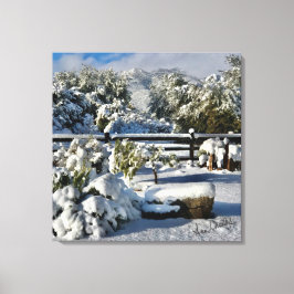 Ann Charles Snowy Day in Arizona Canvas Afdruk