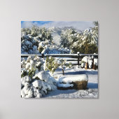Ann Charles Snowy Day in Arizona Canvas Afdruk (Voorkant)
