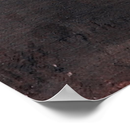 Anna Ancher's naaivisserij vrouw Poster (Hoek)