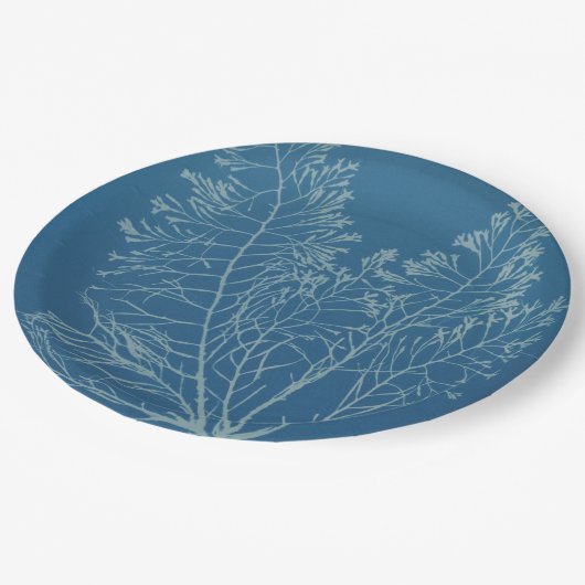 Anna Atkins - Botanische fotografie,  ontwerp Papieren Bordje (Gekanteld)