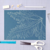 Anna Atkins Botanische Studie Tissuepapier (Craft)