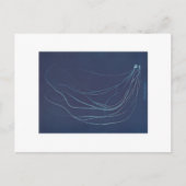 Anna Atkins over botanisch cyanotype Briefkaart (Voorkant)