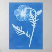 ANNA ATKINS POSTER (Voorkant)