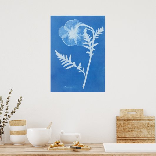 ANNA ATKINS POSTER (Keuken)