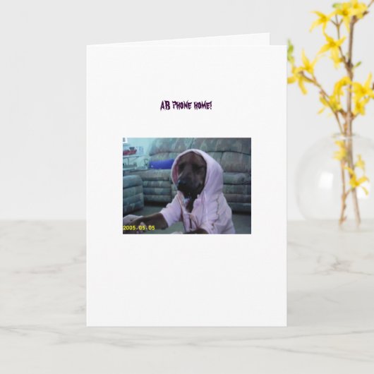 Anna Belle in haar nieuwe roze jumpsuit Kaart (Gele Bloem)