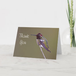 Anna de Kolibrie dankt u Bedankkaart