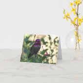 Anna Kolibrie - Joe Sweeney - kaart (Gele Bloem)