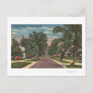 Anna Maria, Florida - Uitzicht van Palms Along Str Briefkaart