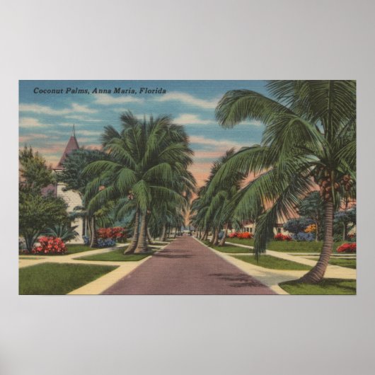 Anna Maria, Florida - Uitzicht van Palms Along Str Poster (Voorkant)