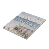 Anna Maria Island Beach Tegeltje (Zijkant)