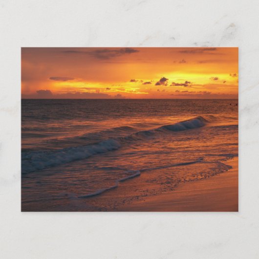 Anna Maria Island, FL Briefkaart (Voorkant)