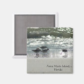 Anna Maria Island, Florida Magneet (Voorkant / Achterkant)