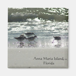 Anna Maria Island, Florida Magneet