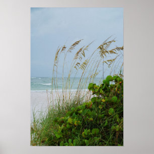 Anna Maria Island, Florida, strandplaats Poster
