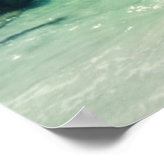 Anna Maria Island Poster (Hoek)