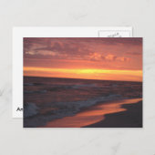 Anna Maria Island Sunset Briefkaart (Voorkant / Achterkant)