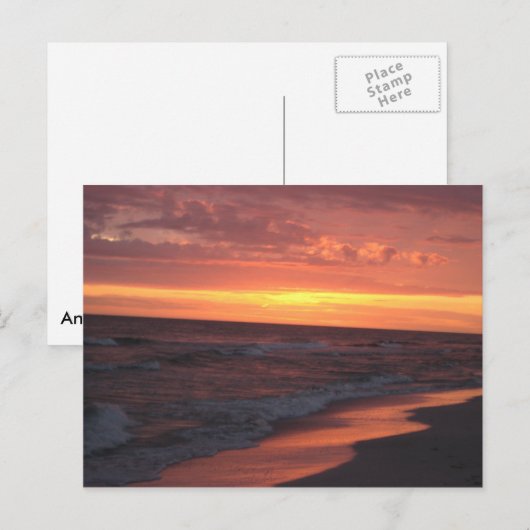 Anna Maria Island Sunset Briefkaart (Voorkant / Achterkant)