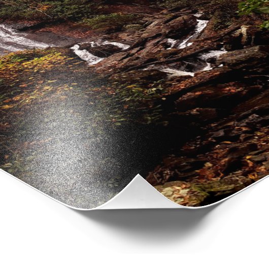 Anna Ruby Herfsten Foto Afdruk (Hoek)