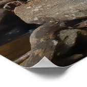 Anna Ruby Herfsten Georgia Poster (Hoek)