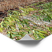 Anna Ruby Herfsten Poster (Hoek)