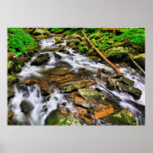 Anna Ruby Tumbles, Poster (Voorkant)