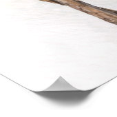 Anna,s Hummingbird Colorful Poster (Hoek)