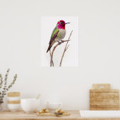 Anna,s Kolibrie Kleurrijk Poster (Keuken)