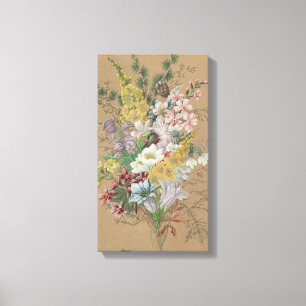 Anna Stainer-Knittel Alpenbloemen Canvas Afdruk