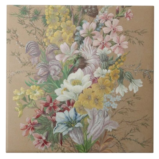 Anna Stainer-Knittel Alpenbloemen Tegeltje (Voorkant)