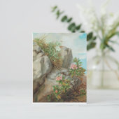 Anna Stainer-Knittel  AlpenRozen Briefkaart (Staand voorkant)