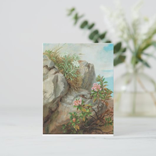 Anna Stainer-Knittel AlpenRozen Briefkaart (Staand voorkant)