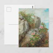 Anna Stainer-Knittel  AlpenRozen Briefkaart (Voorkant / Achterkant)