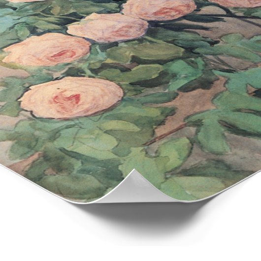 Anna Syberg  Rozen Poster (Hoek)