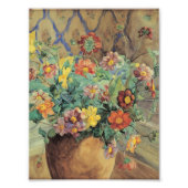 Anna Syberg tak van de Apple Tree in Bloom Foto Afdruk (Voorkant)