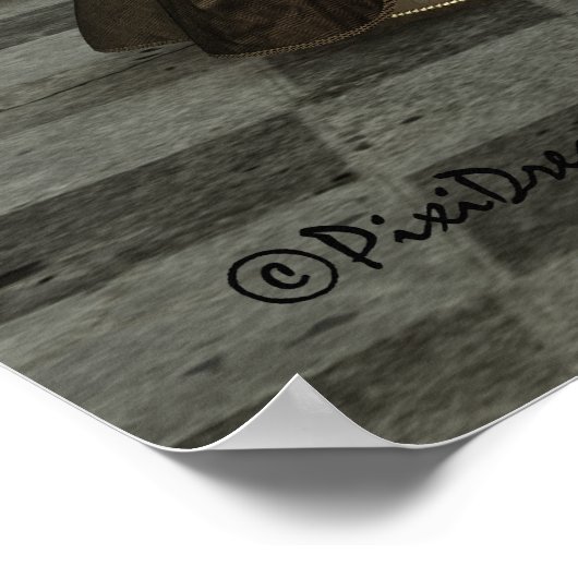 Annabella's Amusement Poster (Hoek)