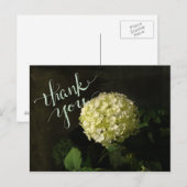 Annabelle Hydrangea Bedankt Briefkaart (Voorkant / Achterkant)