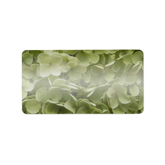 Annabelle Hydrangea Flowers Etiket (Voorkant)