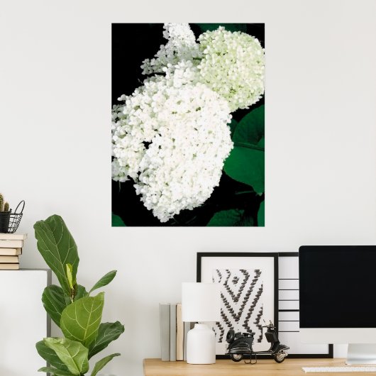 ANNABELLE HYDRANGEA POSTER (Thuiskantoor)