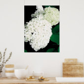               ANNABELLE HYDRANGEA                  POSTER (Keuken)