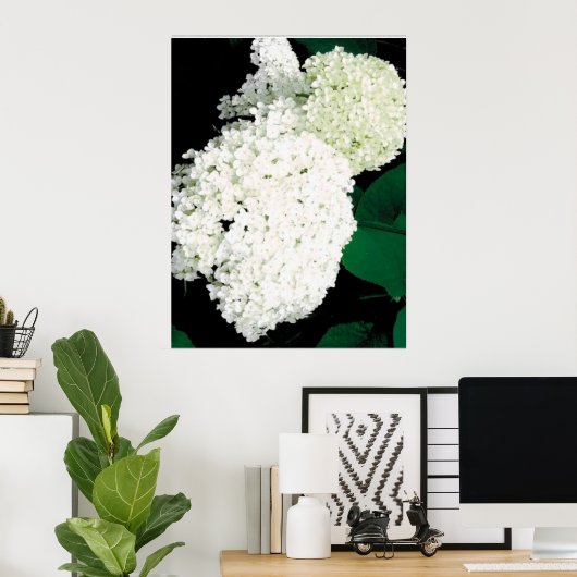 ANNABELLE HYDRANGEA POSTER (Thuiskantoor)